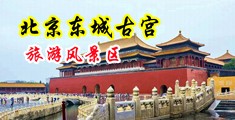 裸女乱喷母乳如喷泉快色视频中国北京-东城古宫旅游风景区